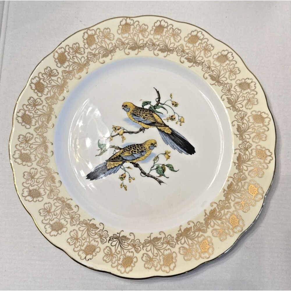 VtG MELBA Parakeets Yellow-Black 10.5" Floral Band Bone China Plate England